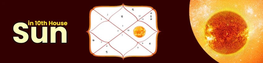 Sun in 10th House - Indicates Profession and Income