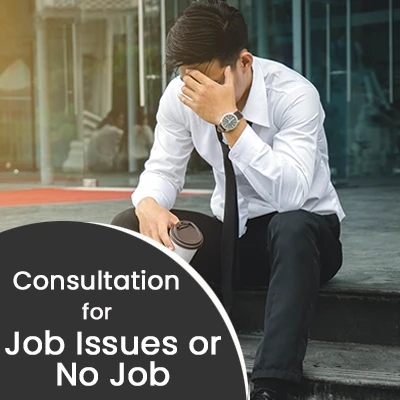 Consultation for Job Issues or No Job  100