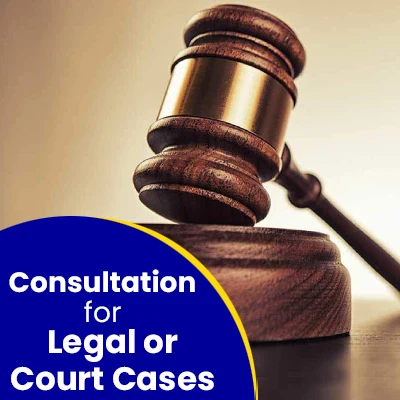 Consultation for Legal or Court Cases 103
