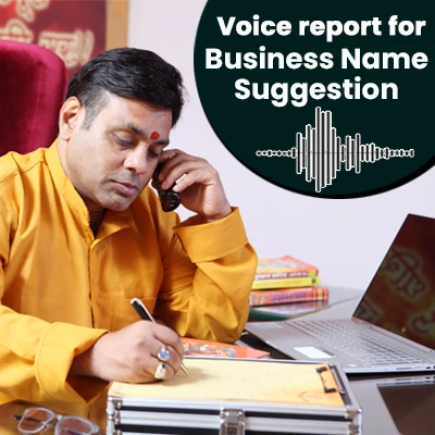 Voice Report for Business Name Suggestion