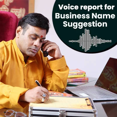 Voice Report for Business Name Suggestion 140