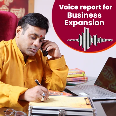 Voice Report for Business Expansion 141