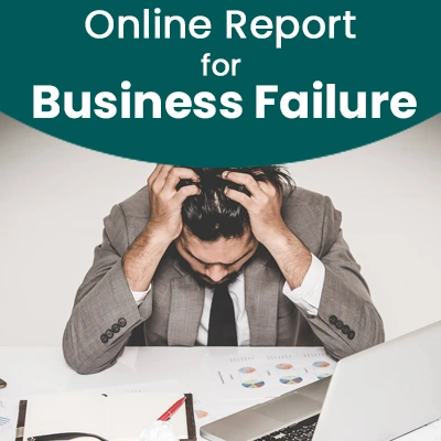 Online Report for Business Failure 233
