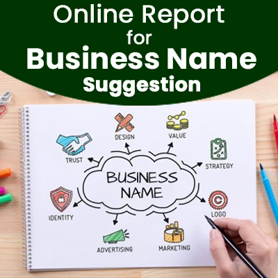 Online Report for Business Name Suggestion 234