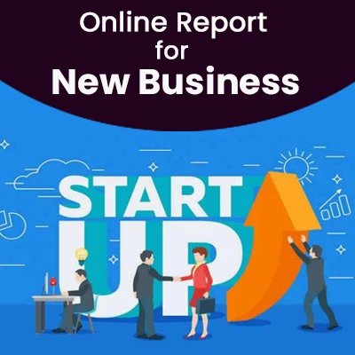 Online Report for New or Startup...