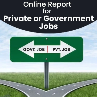 Online Report for Private or Government Jobs