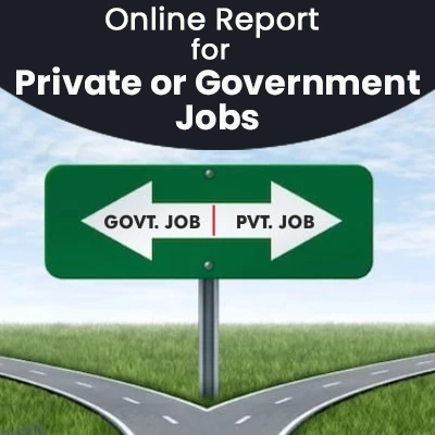 Online Report for Private or Government Jobs 241