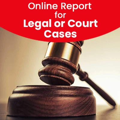 Online Report for Legal or Court Cases 255