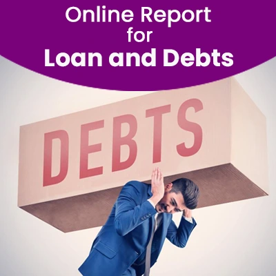 Online Report for Loan and Debts