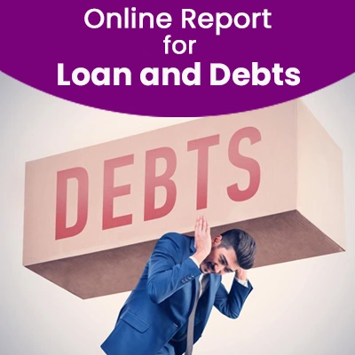 Online Report for Loan and Debts 256