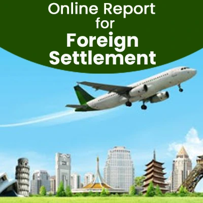 Online Report for Foreign or Abroad Settlement 257