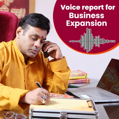 Voice Report for Business Expansion
