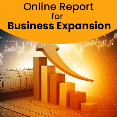 व्यापार विस्तार  हेतु ऑनलाइन रिपोर्ट