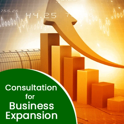 Consultation for Business Expansion
